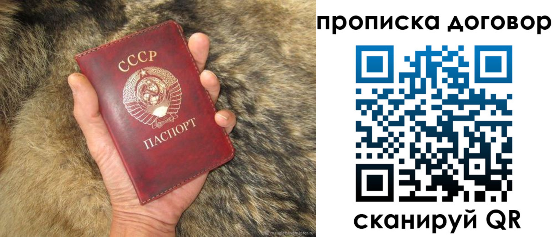 прописка регистрация в Ипатово